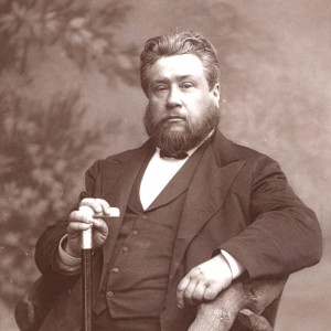 spurgeon_chair1